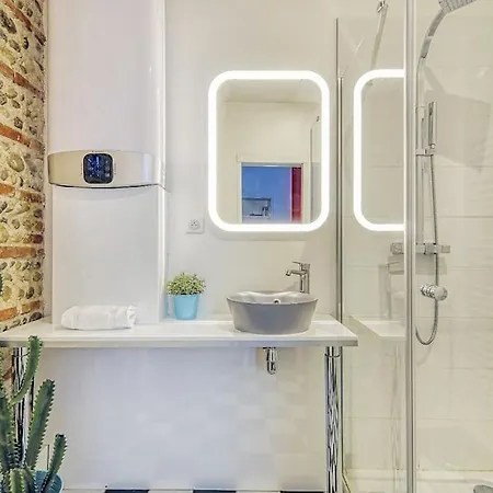 Americain Centre-ville Apartment Toulouse
